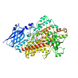 BU of 1rrh by Molmil