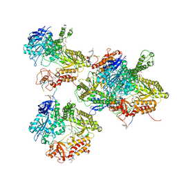 AU of 1rv2 by Molmil