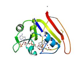 BU of 1rx2 by Molmil