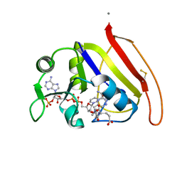 BU of 1rx3 by Molmil