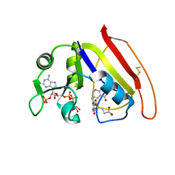 BU of 1rx4 by Molmil