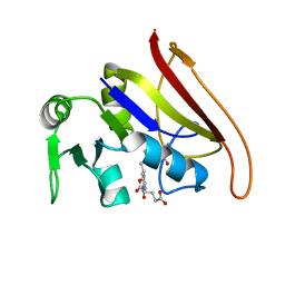 BU of 1rx5 by Molmil