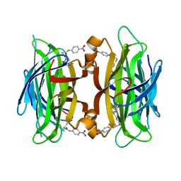 BU of 1rxj by Molmil