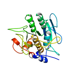 BU of 1sbh by Molmil