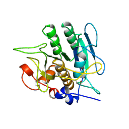 BU of 1sbi by Molmil