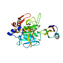 BU of 1sbn by Molmil