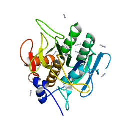 BU of 1scb by Molmil