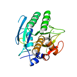 BU of 1scd by Molmil