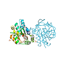 BU of 1sck by Molmil