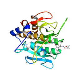 BU of 1scn by Molmil