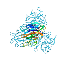 BU of 1scr by Molmil