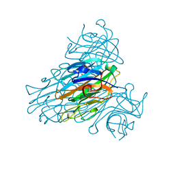 BU of 1scs by Molmil