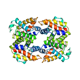 AU of 1sct by Molmil