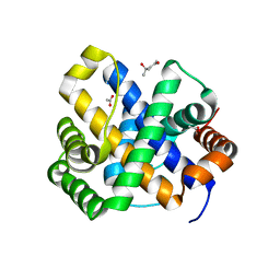 AU of 1sdi by Molmil