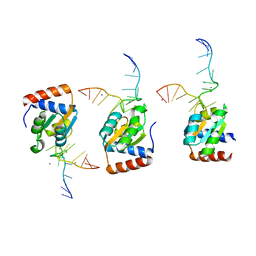 BU of 1sds by Molmil