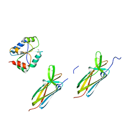 AU of 1se1 by Molmil