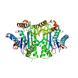 AU of 1seo by Molmil