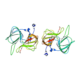 BU of 1sfn by Molmil