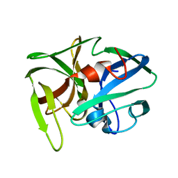 AU of 1sgb by Molmil