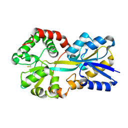 BU of 1si1 by Molmil