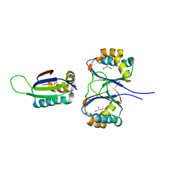 BU of 1si9 by Molmil