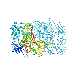 BU of 1sii by Molmil