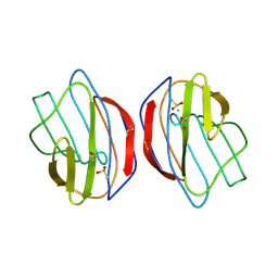 BU of 1slt by Molmil