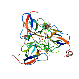 BU of 1smc by Molmil