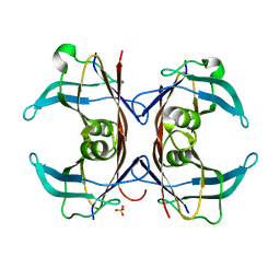 BU of 1sn2 by Molmil