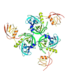 BU of 1sot by Molmil