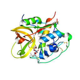 BU of 1sp4 by Molmil