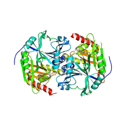 BU of 1sp8 by Molmil