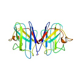 BU of 1spd by Molmil