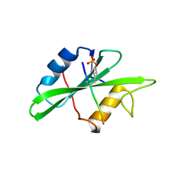 BU of 1sps by Molmil