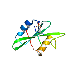 BU of 1sps by Molmil