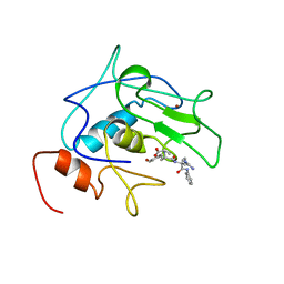 AU of 1srt by Molmil