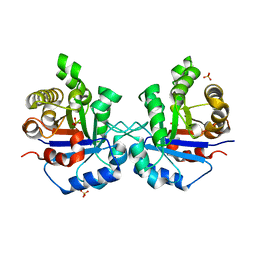 BU of 1ssd by Molmil