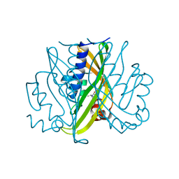 BU of 1std by Molmil