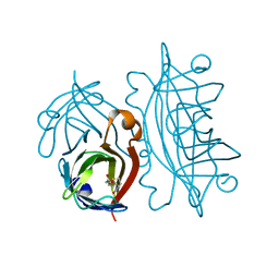 BU of 1stp by Molmil