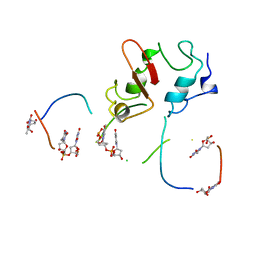 AU of 1stw by Molmil