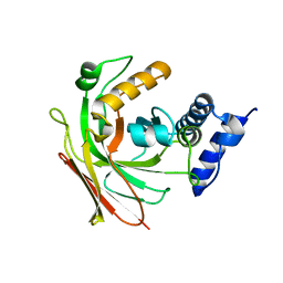 BU of 1sv6 by Molmil