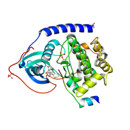 BU of 1svg by Molmil