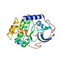 BU of 1svh by Molmil