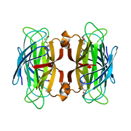 BU of 1swp by Molmil