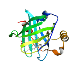 BU of 1sxu by Molmil