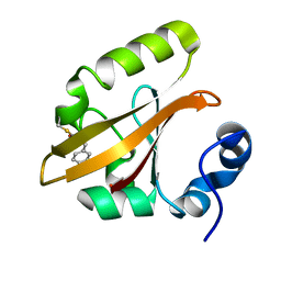 BU of 1t1a by Molmil