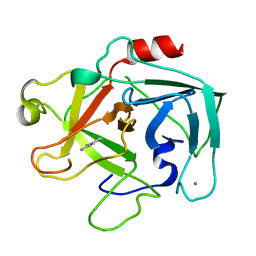 AU of 1tbs by Molmil