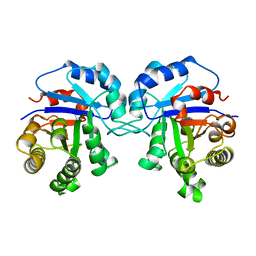 BU of 1tcd by Molmil