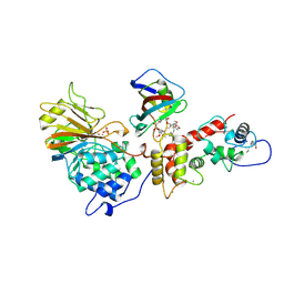 BU of 1tco by Molmil