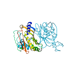 BU of 1tda by Molmil